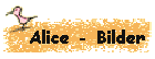 Alice%20-%20Bilder%20-%201.gif
