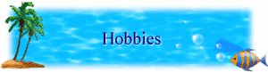 Hobbies