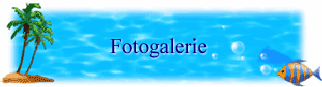 Fotogalerie
