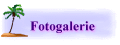 Fotogalerie