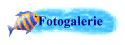 Fotogalerie